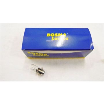 Lampadina 6 Volt/15 Watt Yamaha PX15