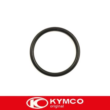 Ingresso O ring originale Kymco Agility/Vitality/People S/Filly GY6 originale 91304-KGBG-900 O 91304-GB0-9100