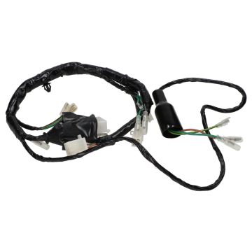 Cablaggio elettrico Honda Wallaroo BE/FR (LOWER)