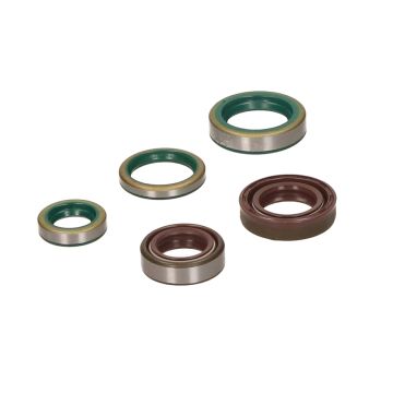 Set guarnizioni blocco motore (guarnizioni albero motore in Viton) Zundapp 50cc 4-5 marce 5 pezzi