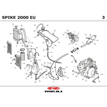 Radiatore - Raffreddamento - Serbatoio - Scarico Rieju Spike grigio 2003 2 tempi
