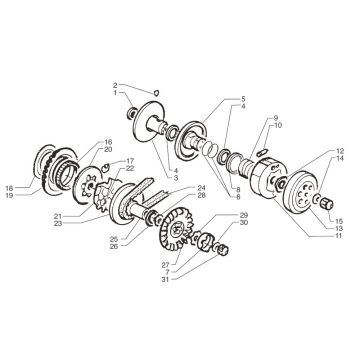 Frizione - Variatore - Cinghia trapezoidale Moto Martin Tir 10 pollici 50 2 tempi AC 45 km/h