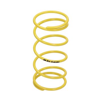 Malossi Racing Minarelli 50cc/CPI/Derbi/Keeway/Generic/Suzuki/PGO giallo 4.0 (più 35%) 297045.Y0