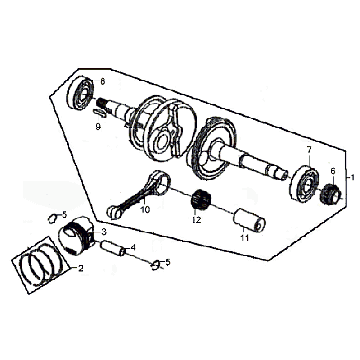 Albero motore Sym Fiddle II (Bk-7c) grigio ferro