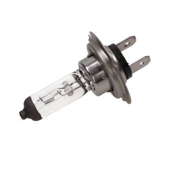 Lampadina PX26d H7 12V 55W-88320