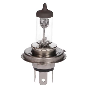 Lampadina P43t H4 12V 60/55W Trifa-123032