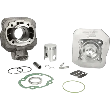 Cilindro con testata -Malossi 50 Sport- Peugeot AC verticale - Buxy/Elyseo/Elystar/Looxor/Speedake/Speedfight 1-2/Squab/TKR/SC/Vivacity/Trekker/Zenith/SV