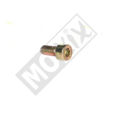 BULLONE M5x12 MX 50 2000