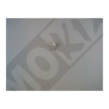 BULLONE M5x20 MX 50 2000