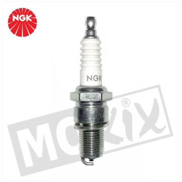 candela Ngk B4H