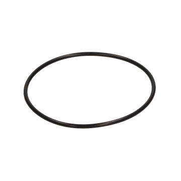 O-RING 53.7 x1.78 pompa acqua Minarelli hoz