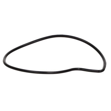 O-ring per pompa acqua Piaggio 4 tempi 125-180-200-200-250-300cc 485080 originale
