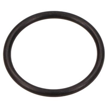 Collettore di aspirazione O ring NEWS