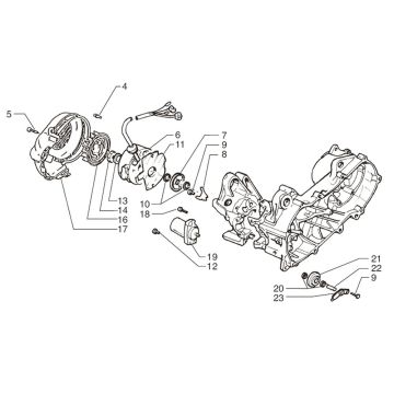 Accensione - statore - volano - motorino di avviamento Moto Martin Tir 10 pollici 50 2 tempi AC 45 km/h