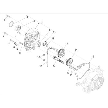 Denti - Trasmissione Vespa Elettrica 25km/h SCH Euro 5 2021