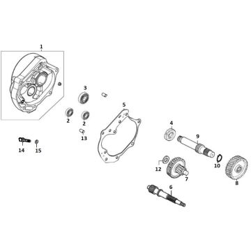 Ingranaggio - Trasmissione 10/12 GY6 2018→ Euro 4 l to n