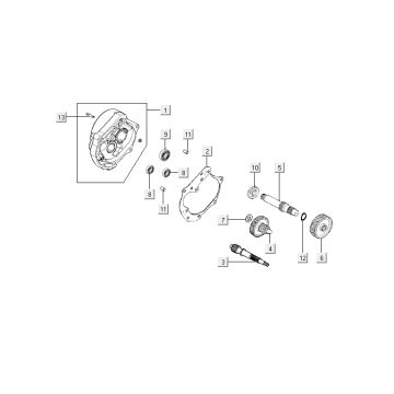 Dentizione - Cambio blu Kymco Agility 10' a 4 tempi