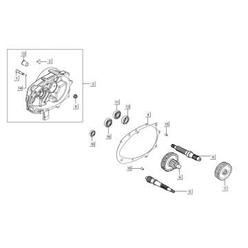 Dentizione - Trasmissione - Kymco Agility 16'+ 4-tempi argento metallizzato opaco