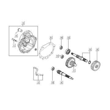 Denti - Trasmissione - Kymco People One 125i