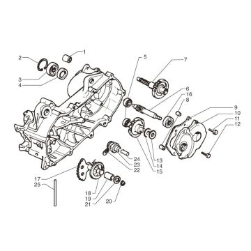 Equipaggiamento - Moto Martin Tir 10 pollici 50 2 tempi AC 45 km/h