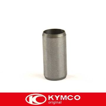 Presa originale M10x20 Agility/Vitality/Filly