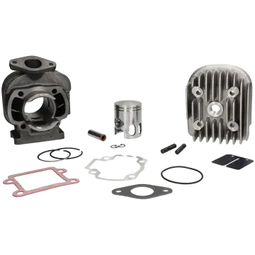 Cilindro con testata -Polini- 50 Sport - Minarelli vertical AC 2 tempi 166.0092