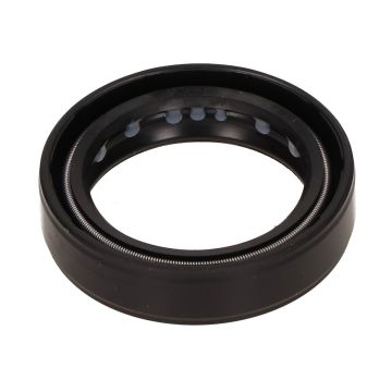 Guarnizione Vv Rieju Rr/Spike