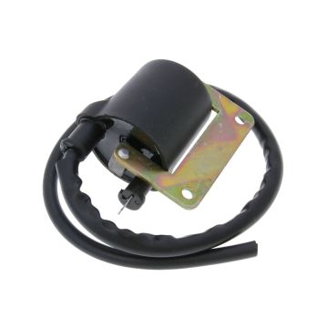Bobina di accensione 101 OCTANE per Vespa Citta, Ciao, SI, Puch Maxi