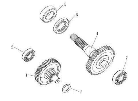 Denti - trasmissione AGM Venom bianca