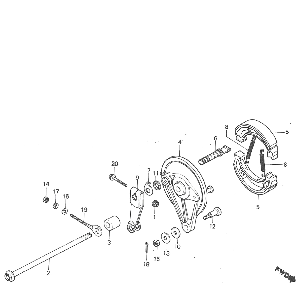 Freno posteriore - Ganasce freno Honda MT50