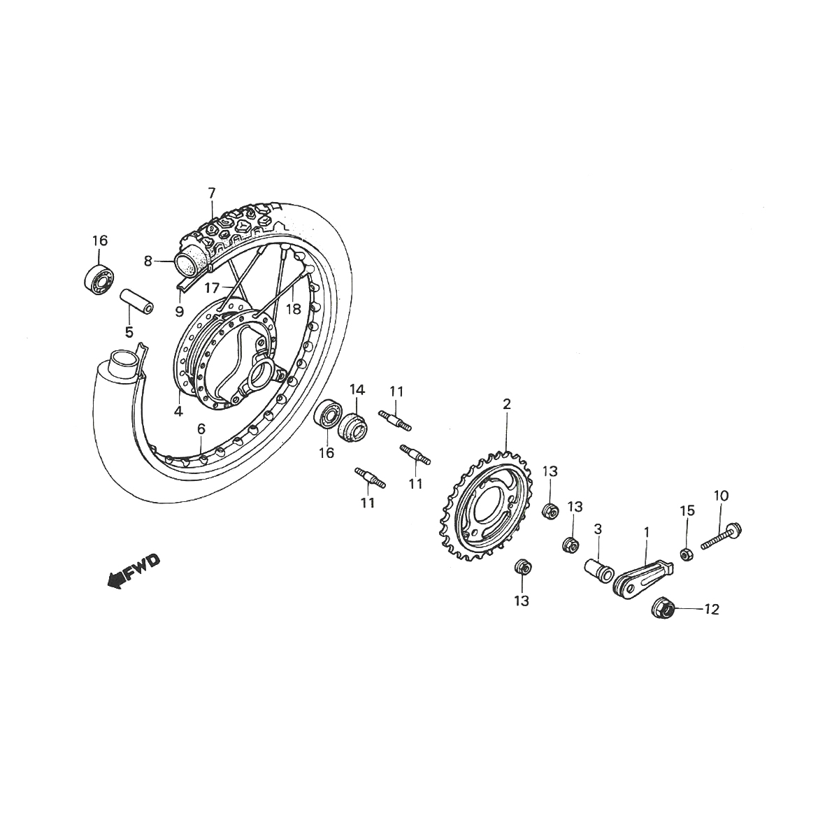 Ruota Posteriore - Pignone Honda MTX 50