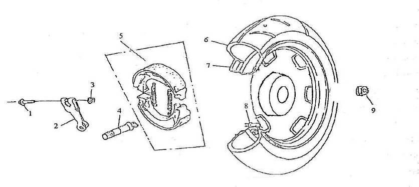 Ruota posteriore - Ganasce freno Killerbee Custom 125