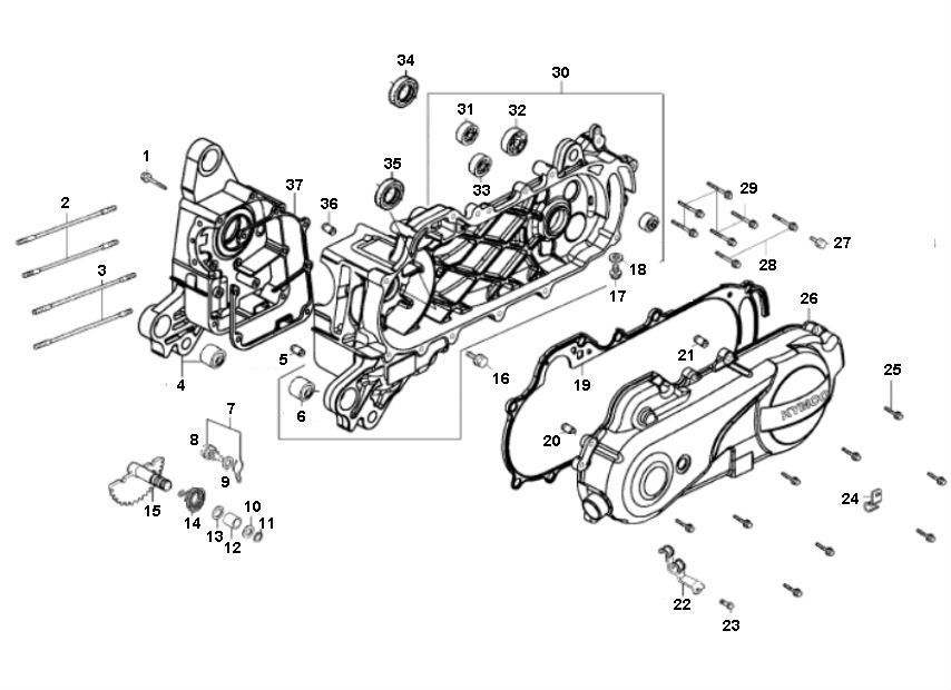 Carter - Coperchio carter - Asse Kickstarter Rover FS3 4 tempi