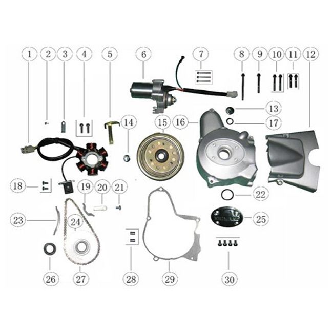 Accensione - Statore - Volano - COPERCHIO ACCENSIONE AGM Caferacer