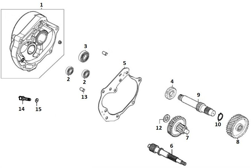Ingranaggio - Trasmissione 10/12 GY6 2018→ Euro 4 l to n
