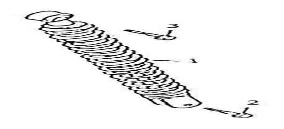 Ammortizzatore AGM GT rosa