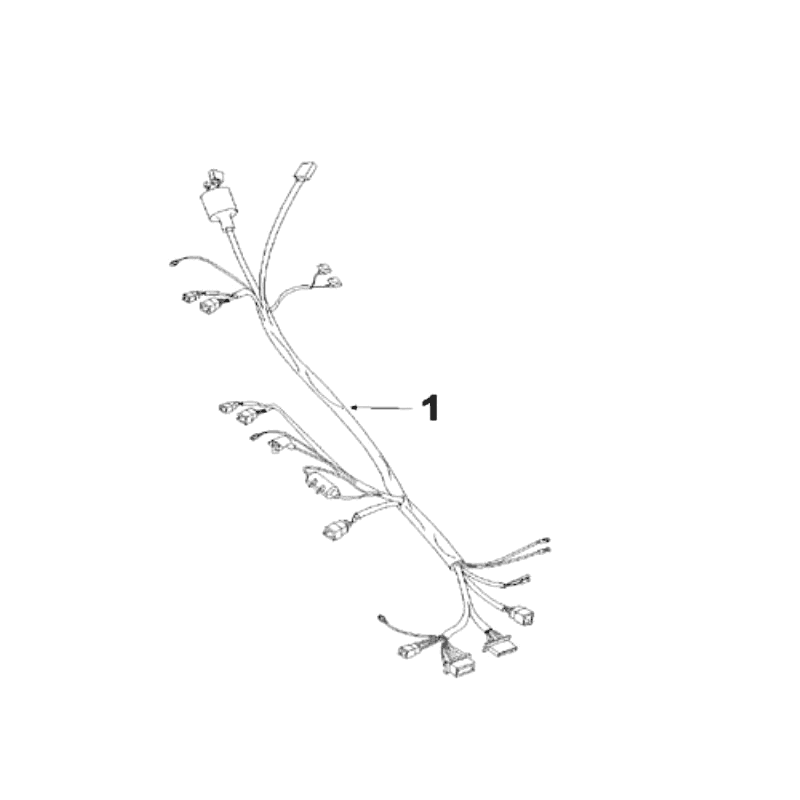 Cablaggio elettrico Peugeot V-Clic 50 4 tempi AC Blue