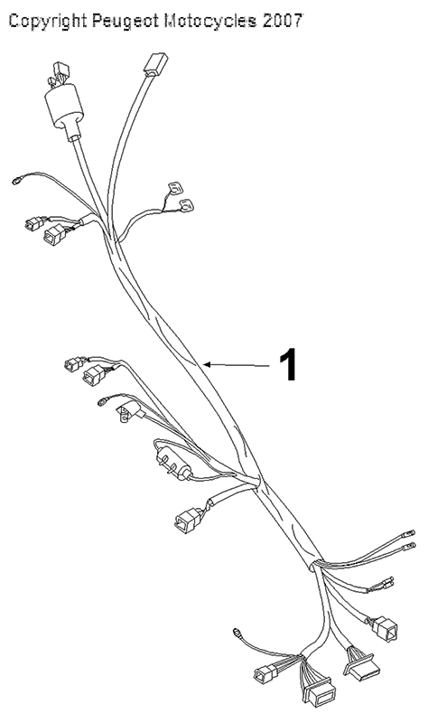 Cablaggio elettrico Peugeot V-Clic 50 4 tempi AC bianco