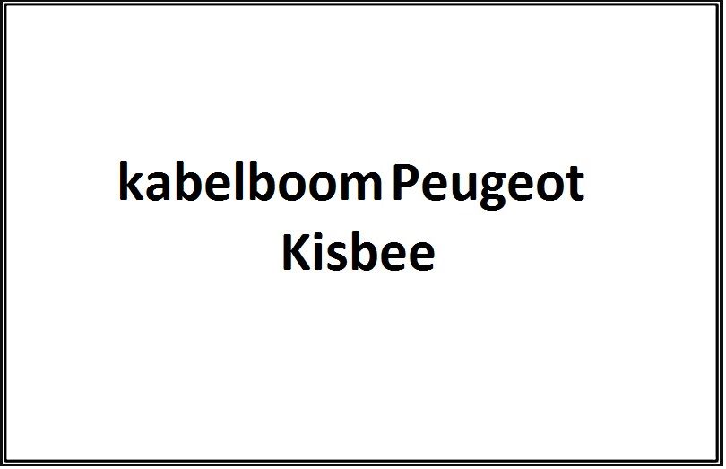 Cablaggio originale Euro 4 Peugeot Kisbee