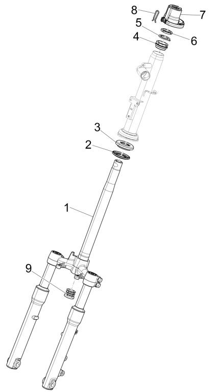 Forcella anteriore - Cuffie Piaggio Liberty 125 IGET 3V ABS Euro 5