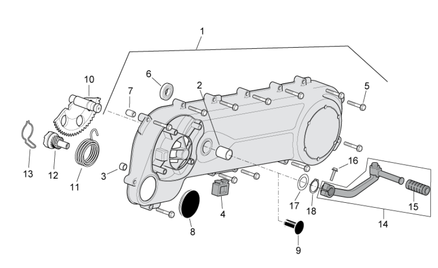 Coperchio carter - Asse Kickstarter - Pedale kickstart Aprilia SR 50 LC (iniezione e carburatore) 2004-2009