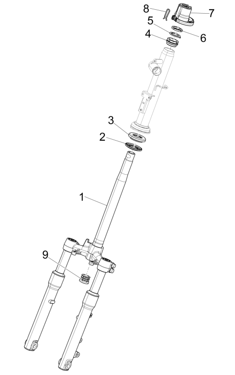 Forcella anteriore - Cuffie Piaggio Liberty 50 4 tempi AC IGET 3V Euro 5