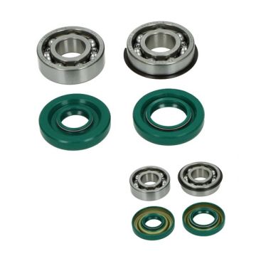 Set cuscinetti e guarnizioni Puch Maxi DMP
