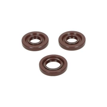 Kit guarnizioni Viton Puch Maxi DMP