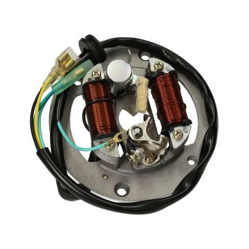 Tappi sciolti di vecchio tipo dello statore Yamaha FS1/DX