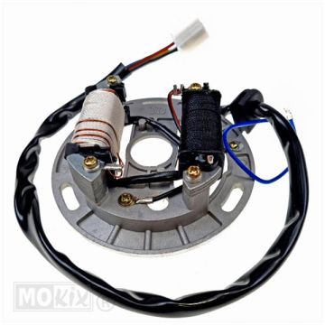 Accensione elettrica Suzuki RMX/SMX Kaal