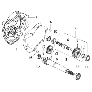 Denti - Trasmissione Sym DD50 blu