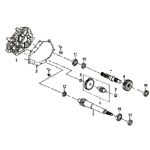 Denti - Trasmissione Sym Fiddle II (BK-7C) grigio ferro