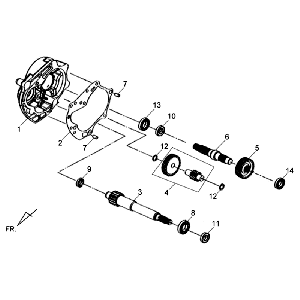 Denti - Trasmissione Sym Allo (WH871) champagne