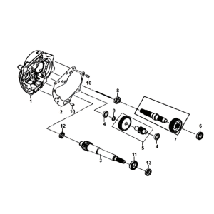 Denti - Trasmissione Sym Fiddle II Euro 4 (WH-006) Bianco